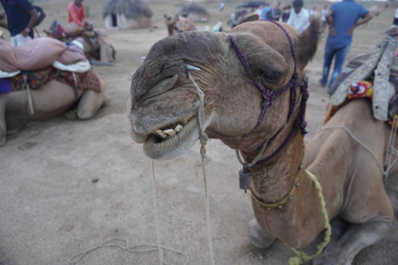 Journey Desert Camp Jaisalmer Dış mekan fotoğraf